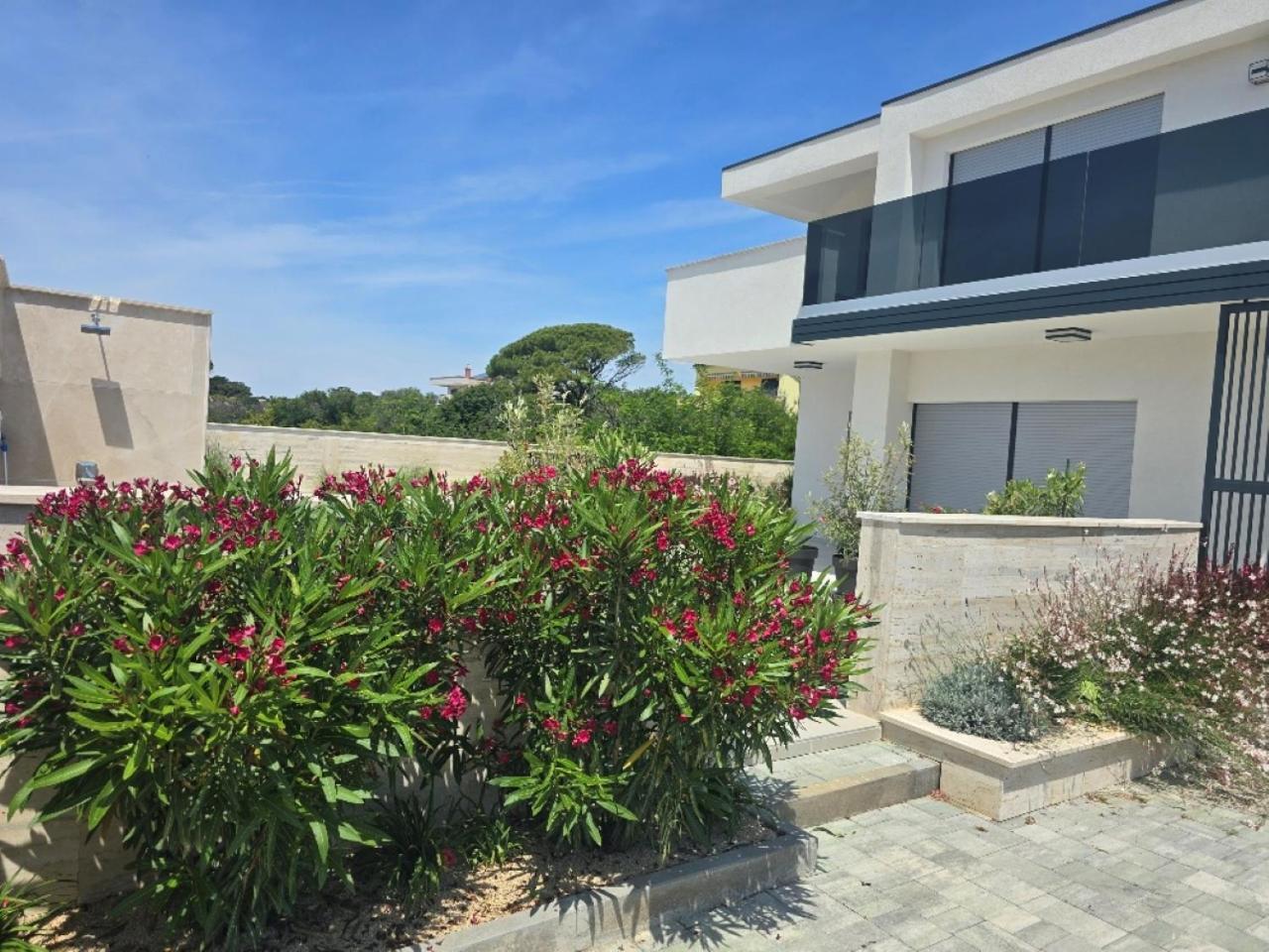 Rimac Apartments Novalja Dış mekan fotoğraf