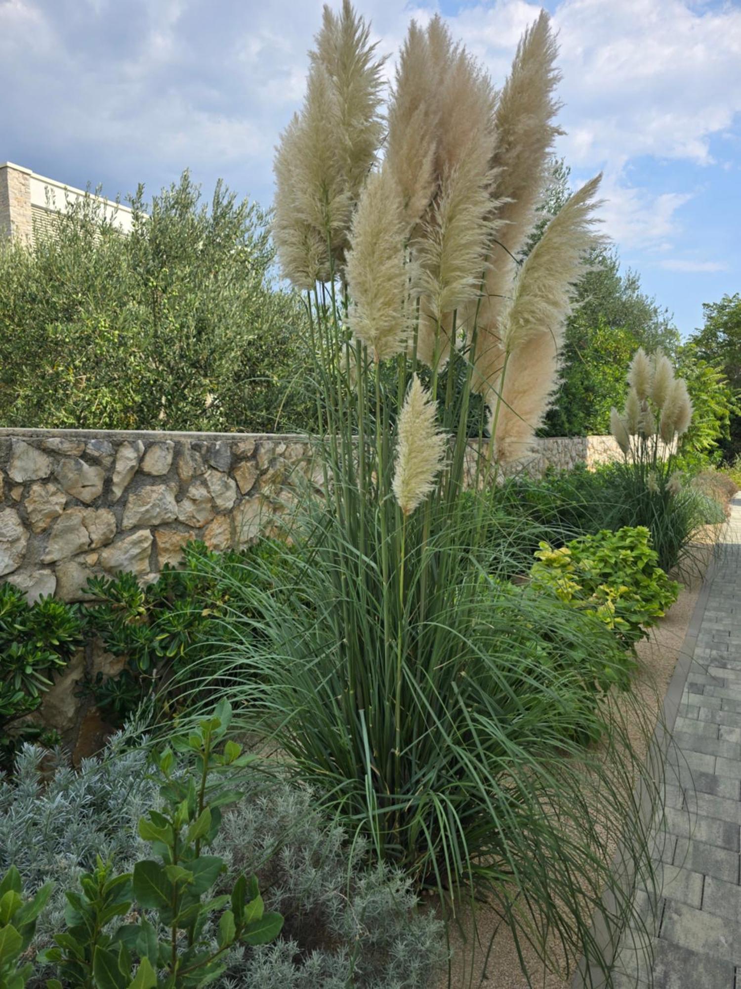 Rimac Apartments Novalja Dış mekan fotoğraf